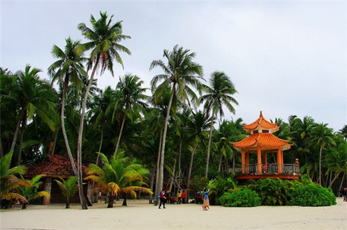 无渔伦比蒸汽石锅鱼火锅