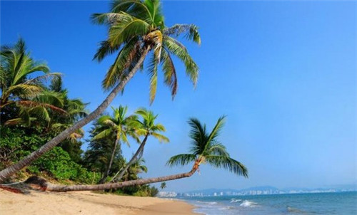 珠海创业小吃美食店怎么样