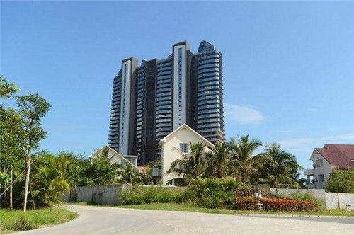 熊松鼠宠物店创业好项目，宠物店创业视频