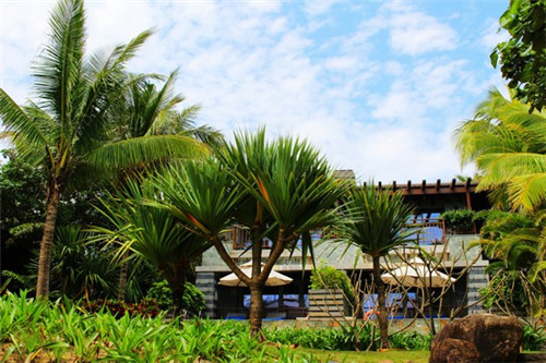 山林有什么好玩的景点（山林在哪）